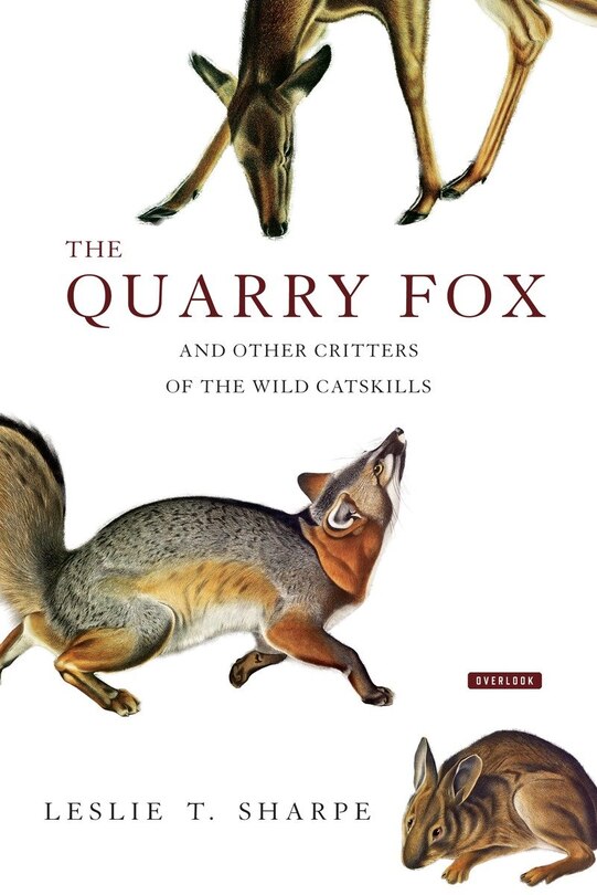 Couverture_The Quarry Fox