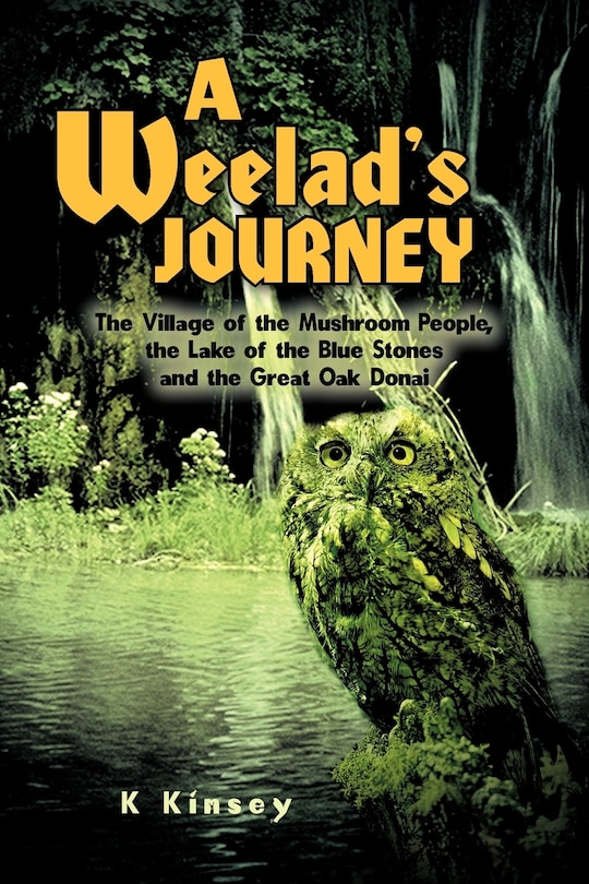 Couverture_A Weelad's Journey