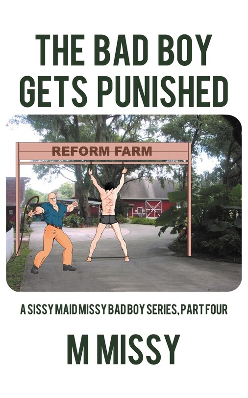 Couverture_The Bad Boy Gets Punished