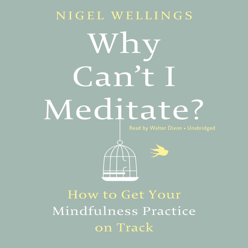 Couverture_Why Can't I Meditate? Lib/e
