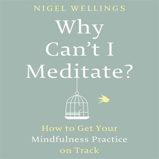 Front cover_Why Can't I Meditate?