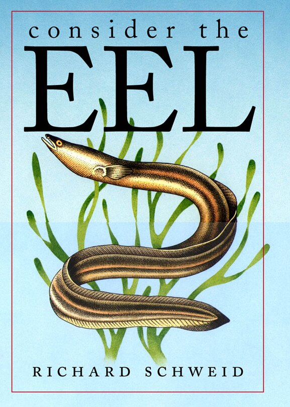 Front cover_Consider The Eel