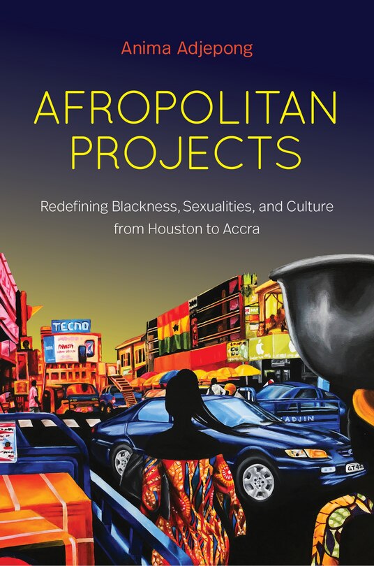 Couverture_Afropolitan Projects