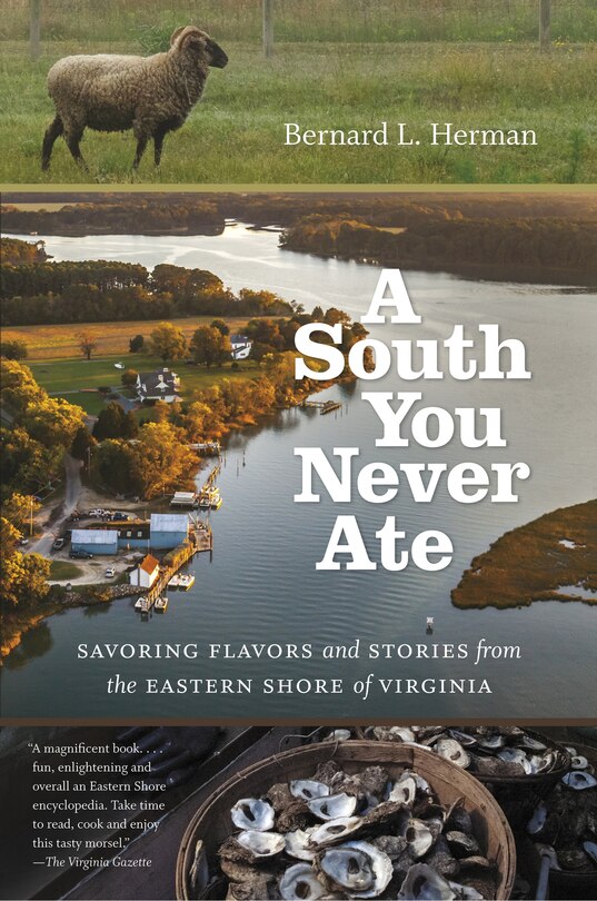 Front cover_A South You Never Ate