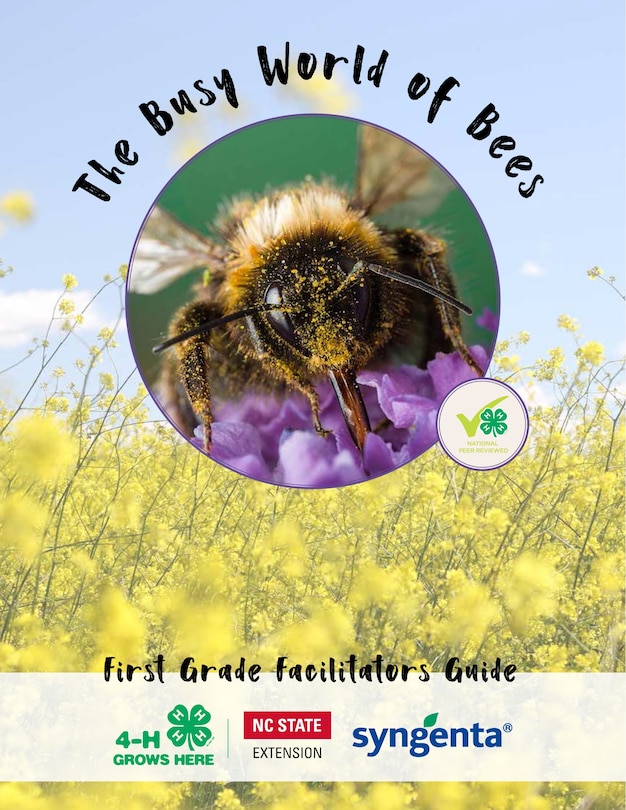 Front cover_The Busy World of Bees