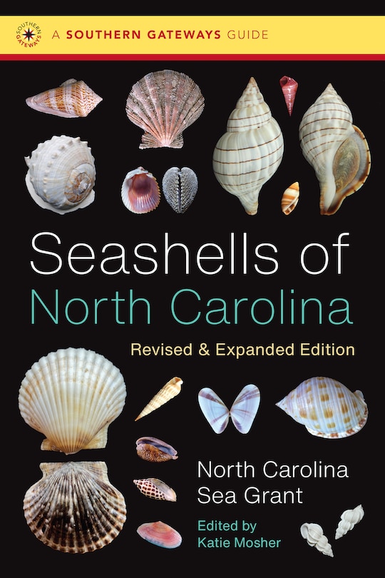 Couverture_Seashells of North Carolina, Revised and Expanded Edition