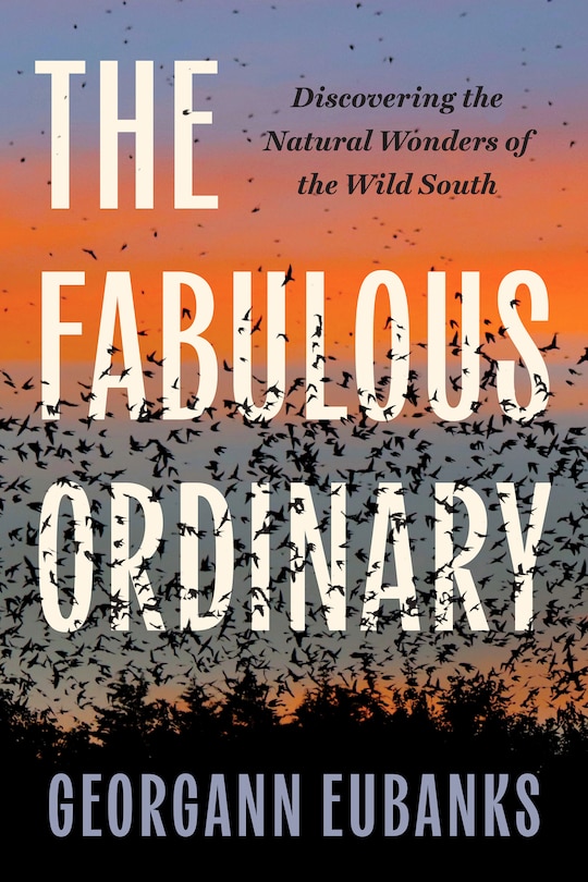 Front cover_The Fabulous Ordinary