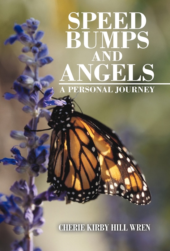 Speed Bumps And Angels: A Personal Journey