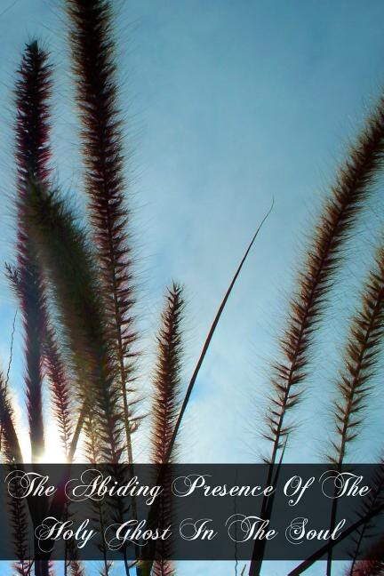 Couverture_The Abiding Presence Of The Holy Ghost In The Soul