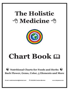 Front cover_The Holistic Medicine Chart Book