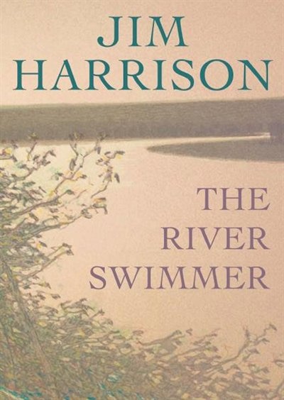 Front cover_The River Swimmer