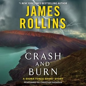 Couverture_Crash And Burn