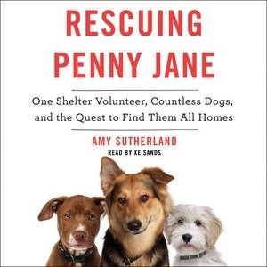 Couverture_Rescuing Penny Jane