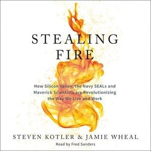 Couverture_Stealing Fire