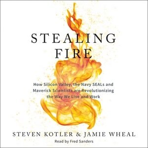 Front cover_Stealing Fire