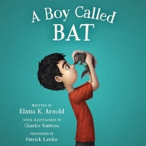 Couverture_A Boy Called Bat