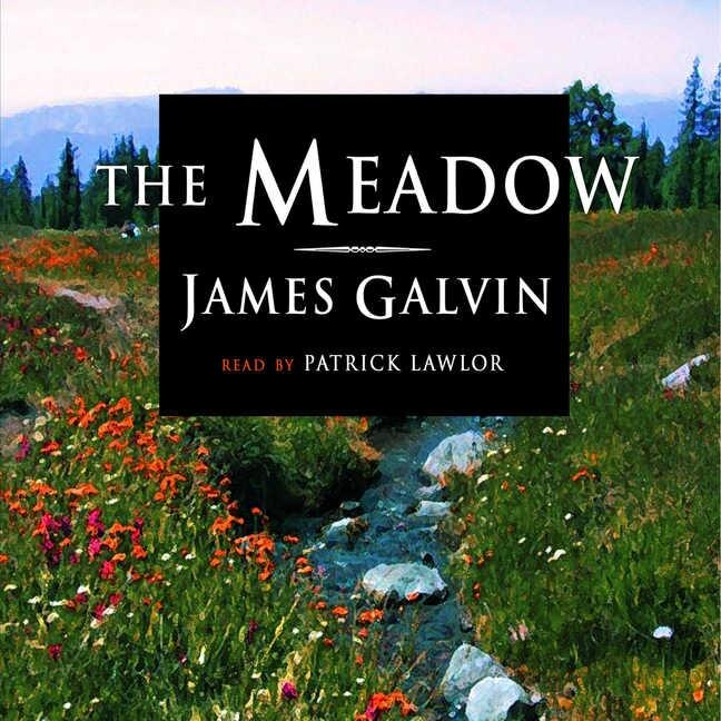 Front cover_The Meadow