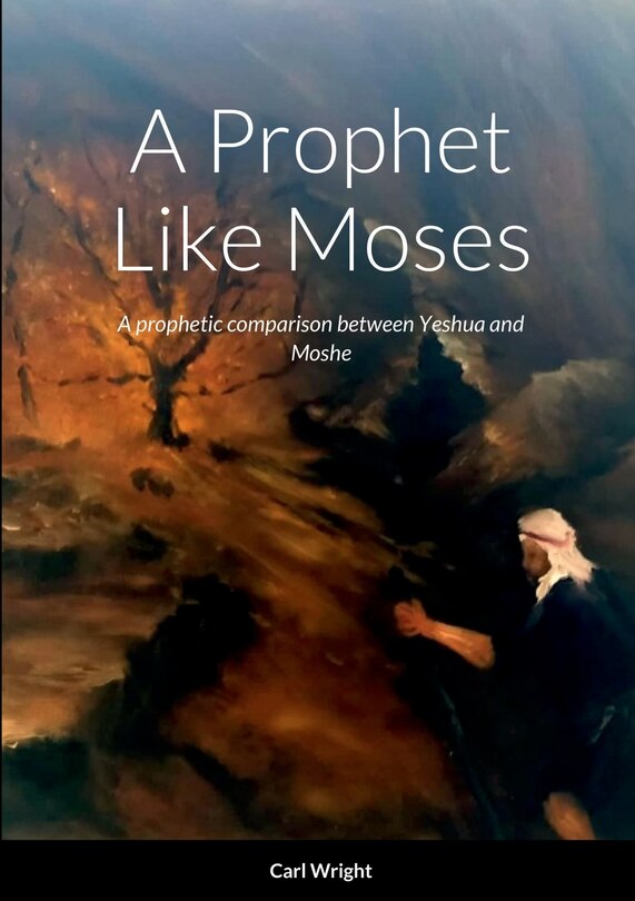 Front cover_A Prophet Like Moses