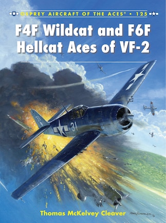 F4f Wildcat And F6f Hellcat Aces Of Vf-2