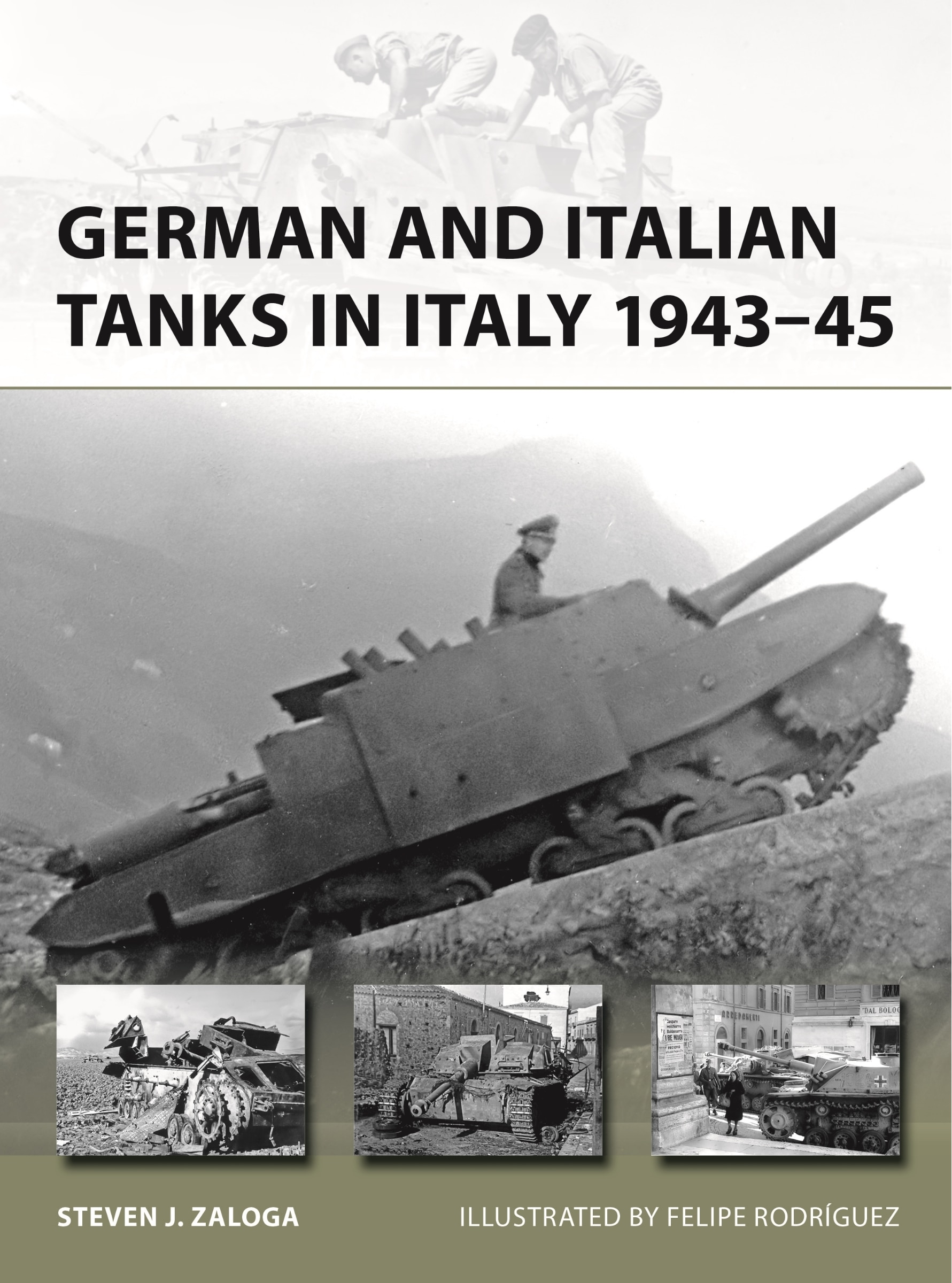German And Italian Tanks In Italy 1943–45 Book By Steven J Zaloga