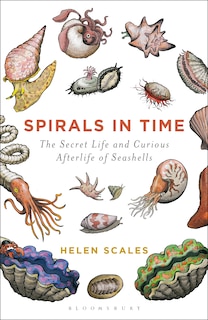 Spirals In Time: The Secret Life And Curious Afterlife Of Seashells