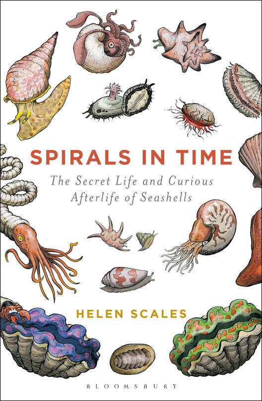Couverture_Spirals In Time