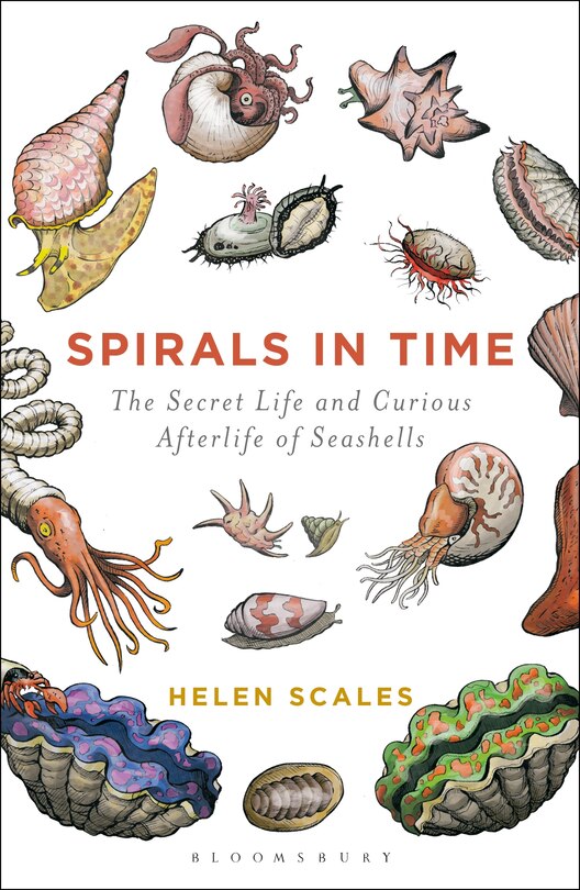 Spirals In Time: The Secret Life And Curious Afterlife Of Seashells