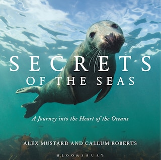 Secrets Of The Seas: A Journey Into The Heart Of The Oceans