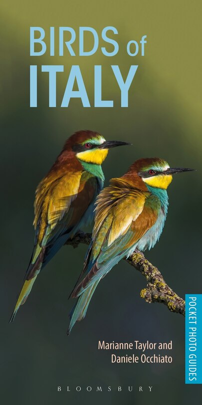Front cover_Birds Of Italy