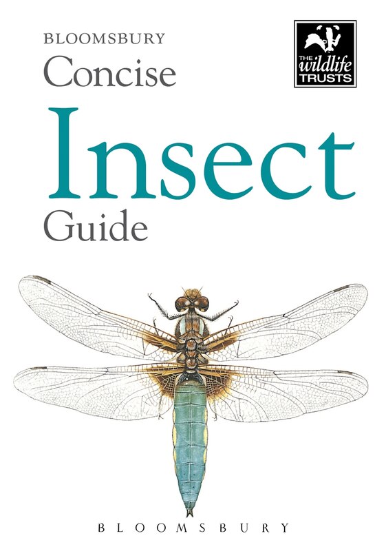 Couverture_Concise Insect Guide
