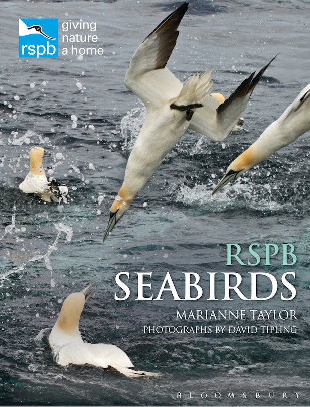 Couverture_Rspb Seabirds