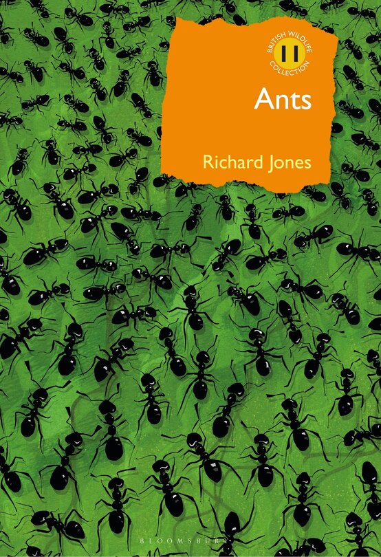 Front cover_Ants