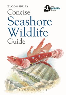 Front cover_Concise Seashore Wildlife Guide