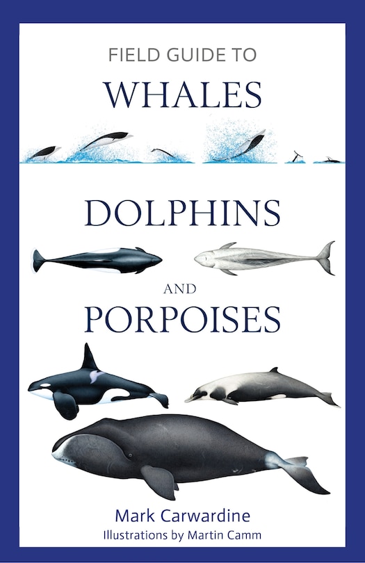 Front cover_Field Guide To Whales, Dolphins And Porpoises