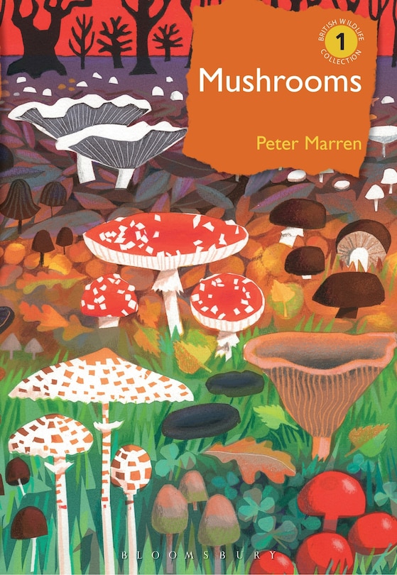 Couverture_Mushrooms