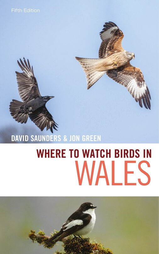 Couverture_Where To Watch Birds In Wales