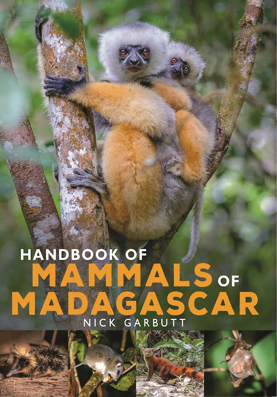 Couverture_Handbook of Mammals of Madagascar