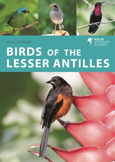 Couverture_Birds Of The Lesser Antilles