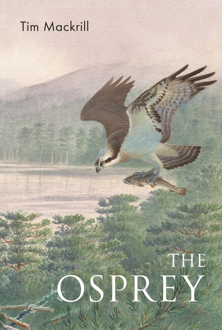 Couverture_The Osprey