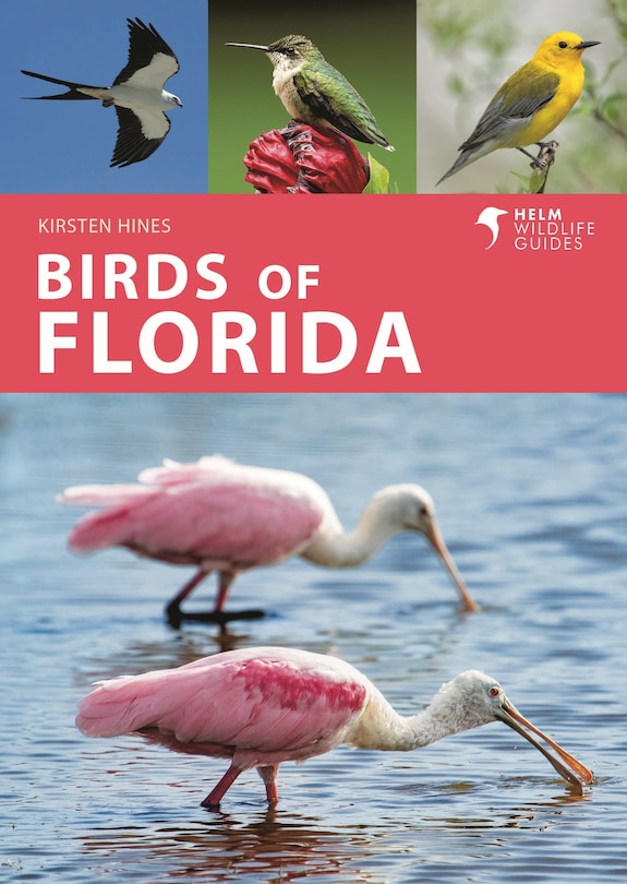 Front cover_Birds of Florida