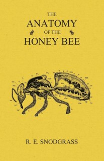 Front cover_The Anatomy of the Honey Bee