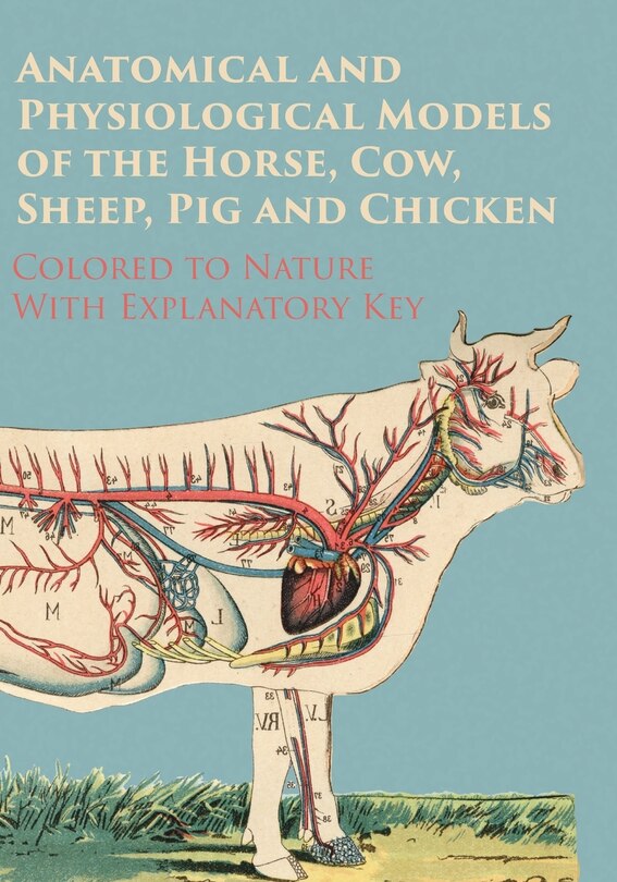 Couverture_Anatomical and Physiological Models of the Horse, Cow, Sheep, Pig and Chicken - Colored to Nature - With Explanatory Key