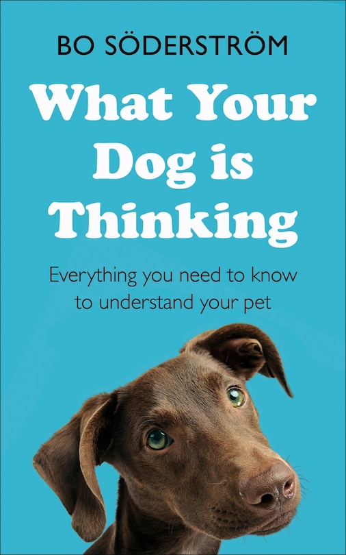 What Your Dog Is Thinking: Everything You Need To Know To Understand Your Pet