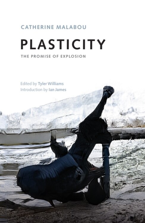 Front cover_Plasticity
