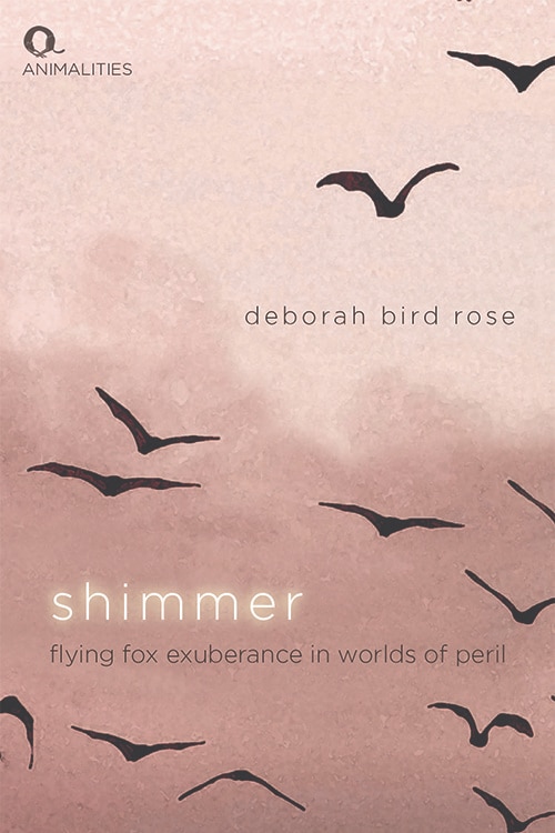 Couverture_Shimmer