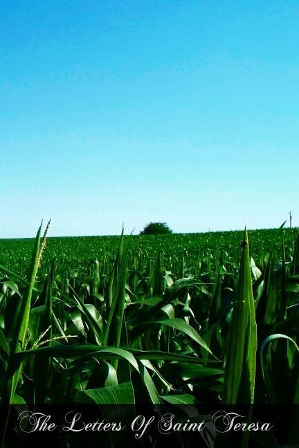 Front cover_The Letters Of Saint Teresa