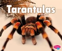 Tarantulas