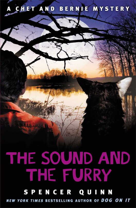 Couverture_The Sound and the Furry