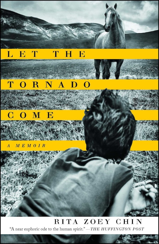 Couverture_Let the Tornado Come