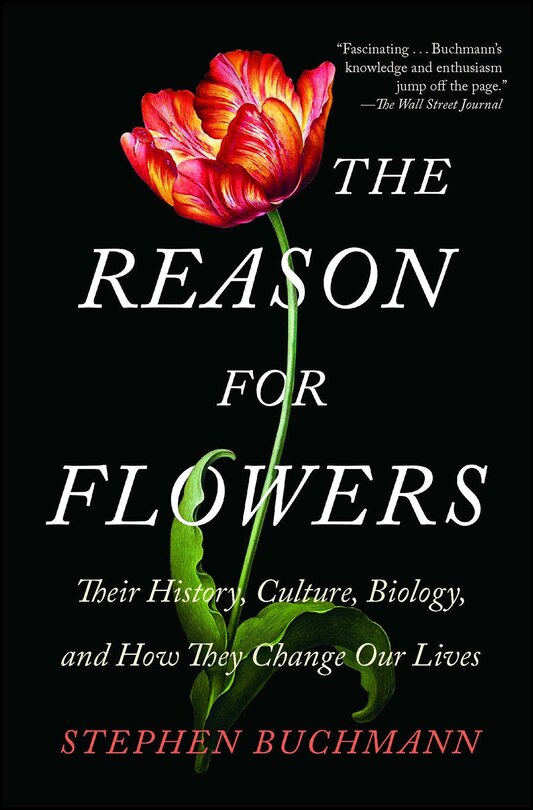 Front cover_The Reason for Flowers